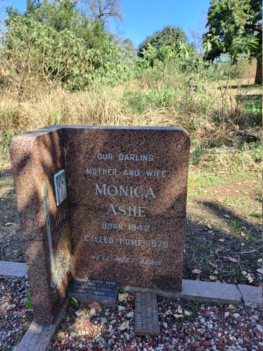 ASHE Monica 1942-1978