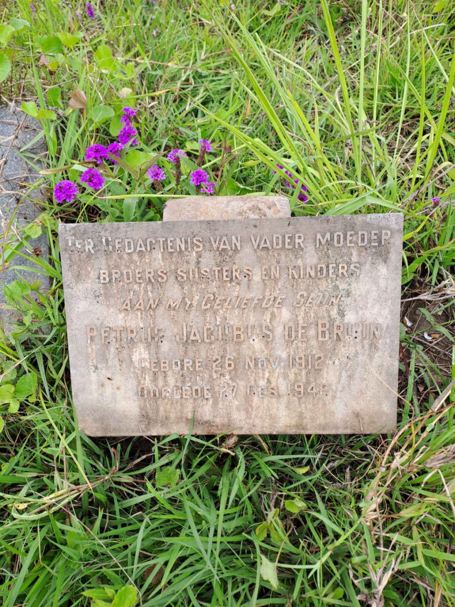 BRUIN Petrus Jacobus, De 1912-1946