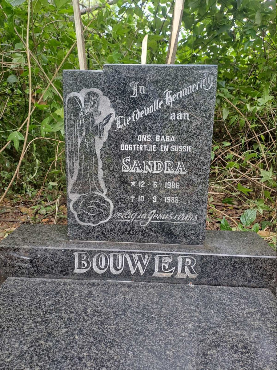 BOUWER Sandra 1986-1986