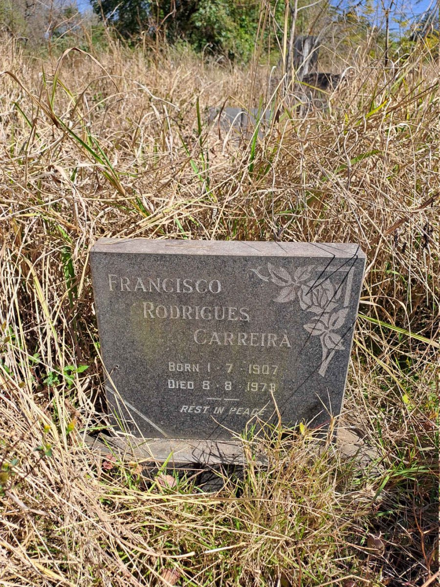 CARREIRA Francisco Rodrigues 1907-1973