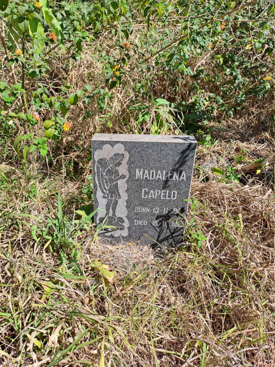 CAPELO Madalena 1985-1985