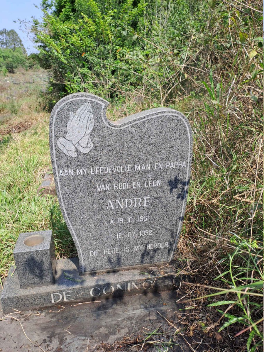 CONING Andre, de 1961-1992