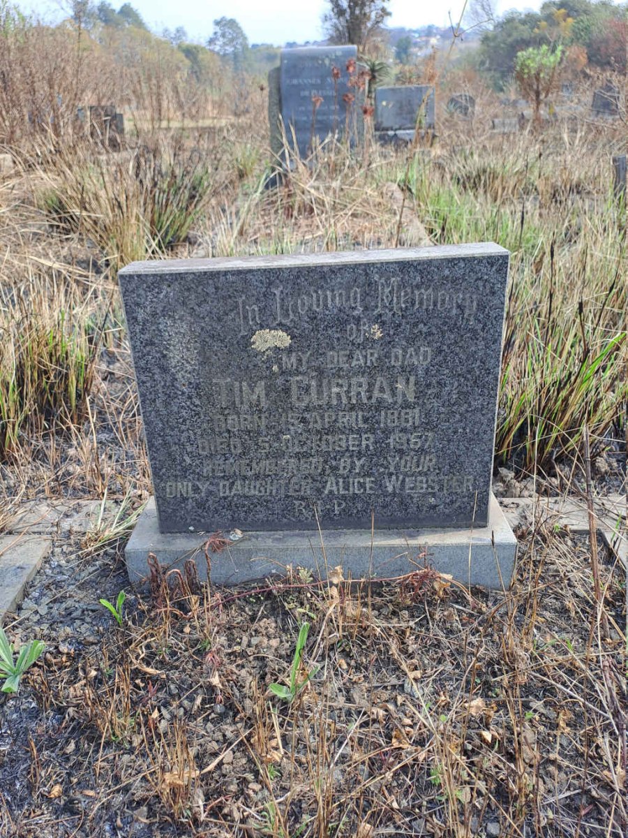 CURRAN Tim 1881-1957
