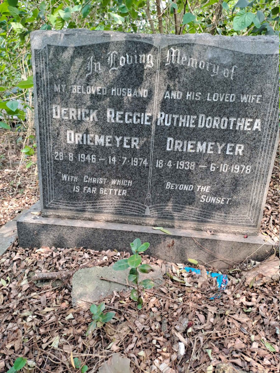 DRIEMEYER Derick Reggie 1946-1974 & Ruthie Dorothea 1938-1978
