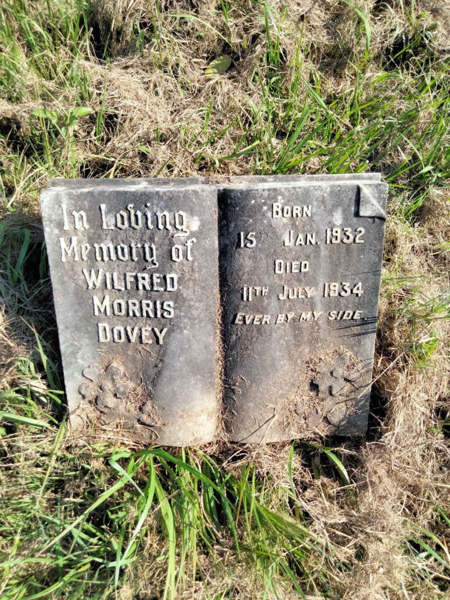 DOVEY Wilfred Morris 1932-1934