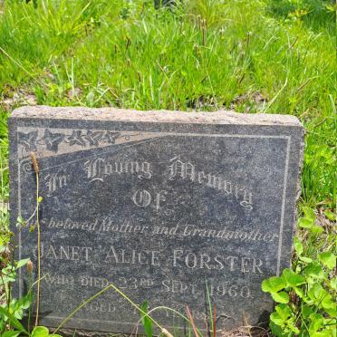 FORSTER Janet Alice -1960