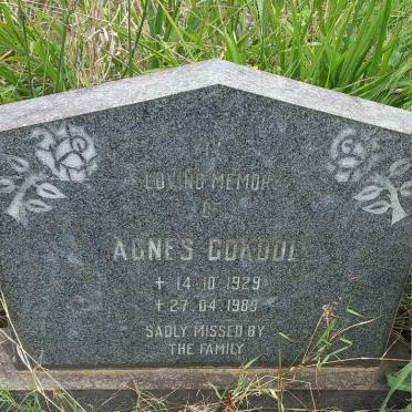 GOKOOL Agnes 1929-1989