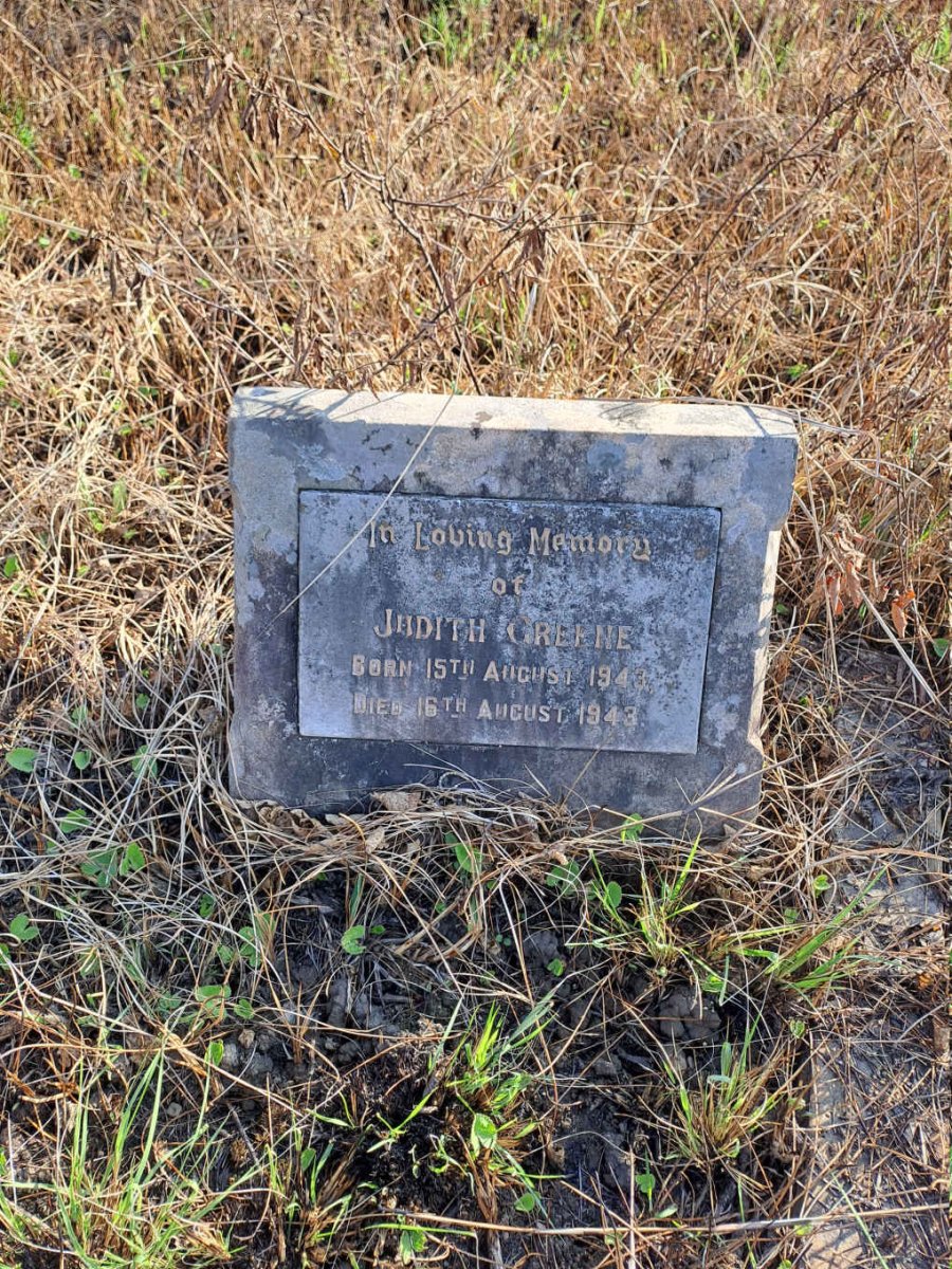 GREENE Judith 1943-1943