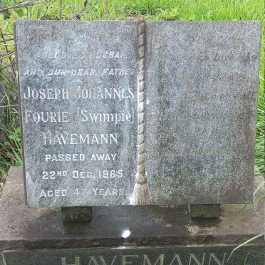 HAVEMANN Joseph Johannes Fourie -1965