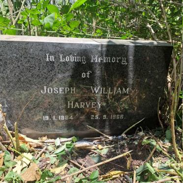 HARVEY Joseph William 1884-1966