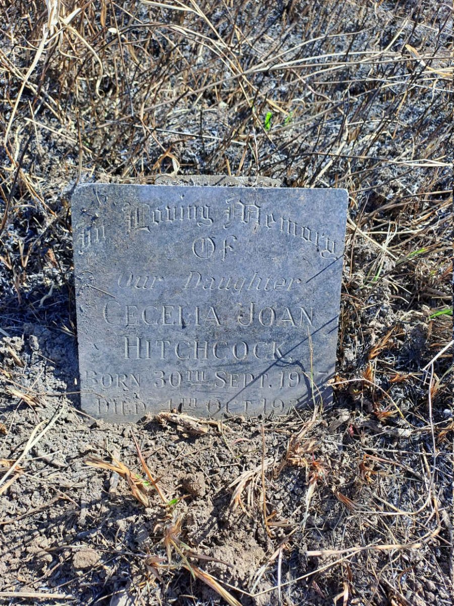 HITCHCOCK Cecelia Joan 1937-193?