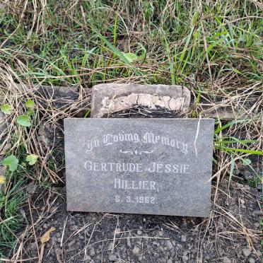 HILLIER Gertrude Jessie -1962