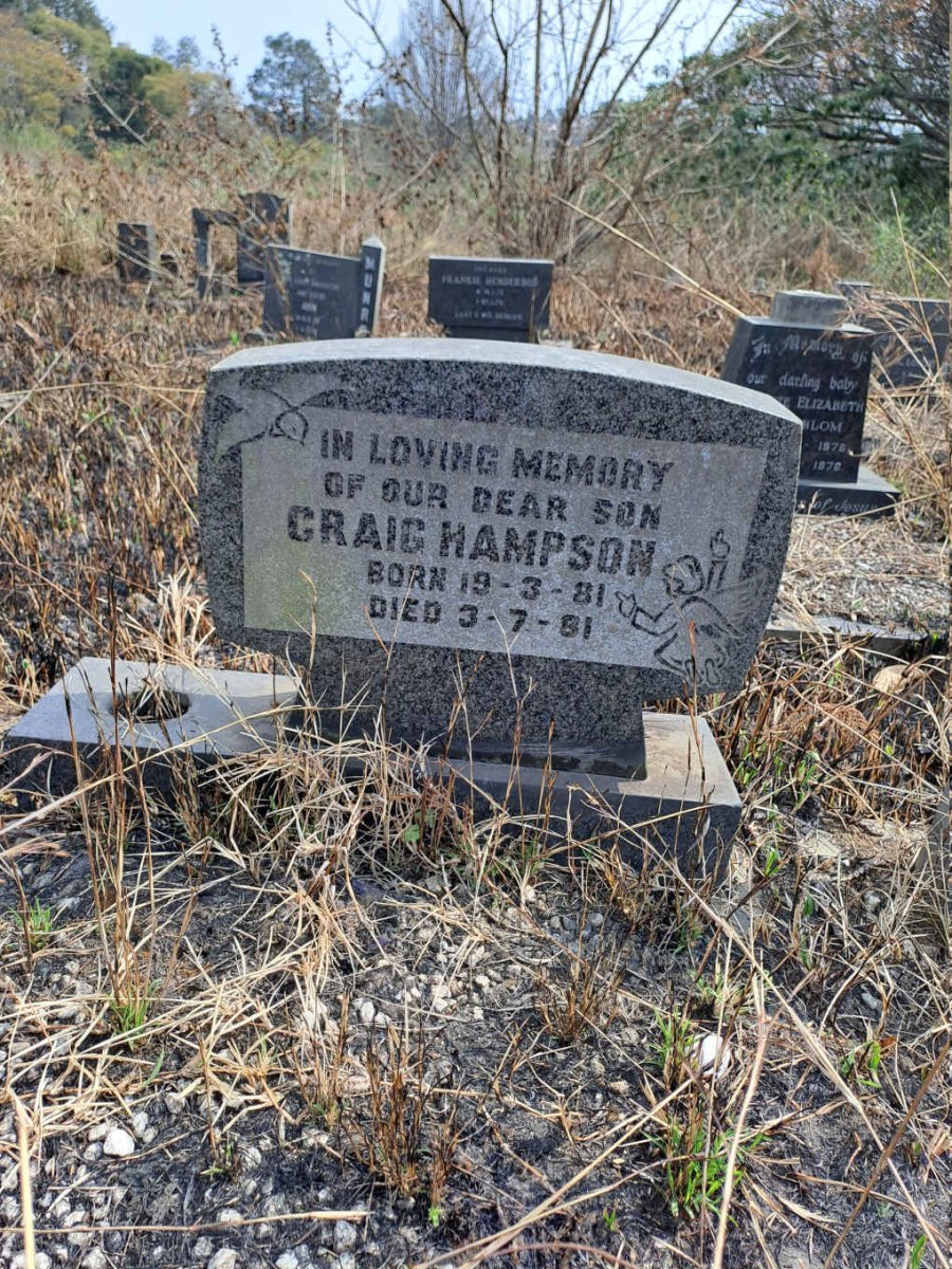 HAMPSON Craig 1981-1981