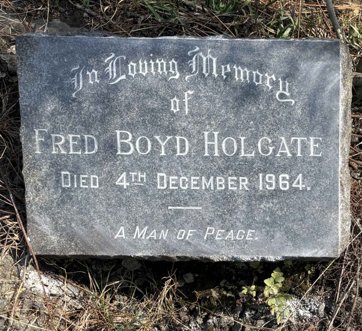 HOLGATE Fred Boyd 1875-1964