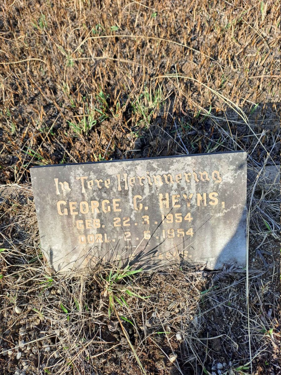 HEYNS George C. 1954-1954