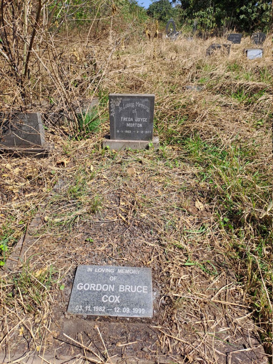 MORTON Freda Joyce 1903-1977 :: COX Gordon Bruce 1982-1999