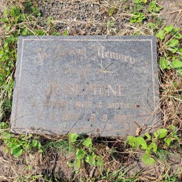 MCEWEN Josephine 1900-1990