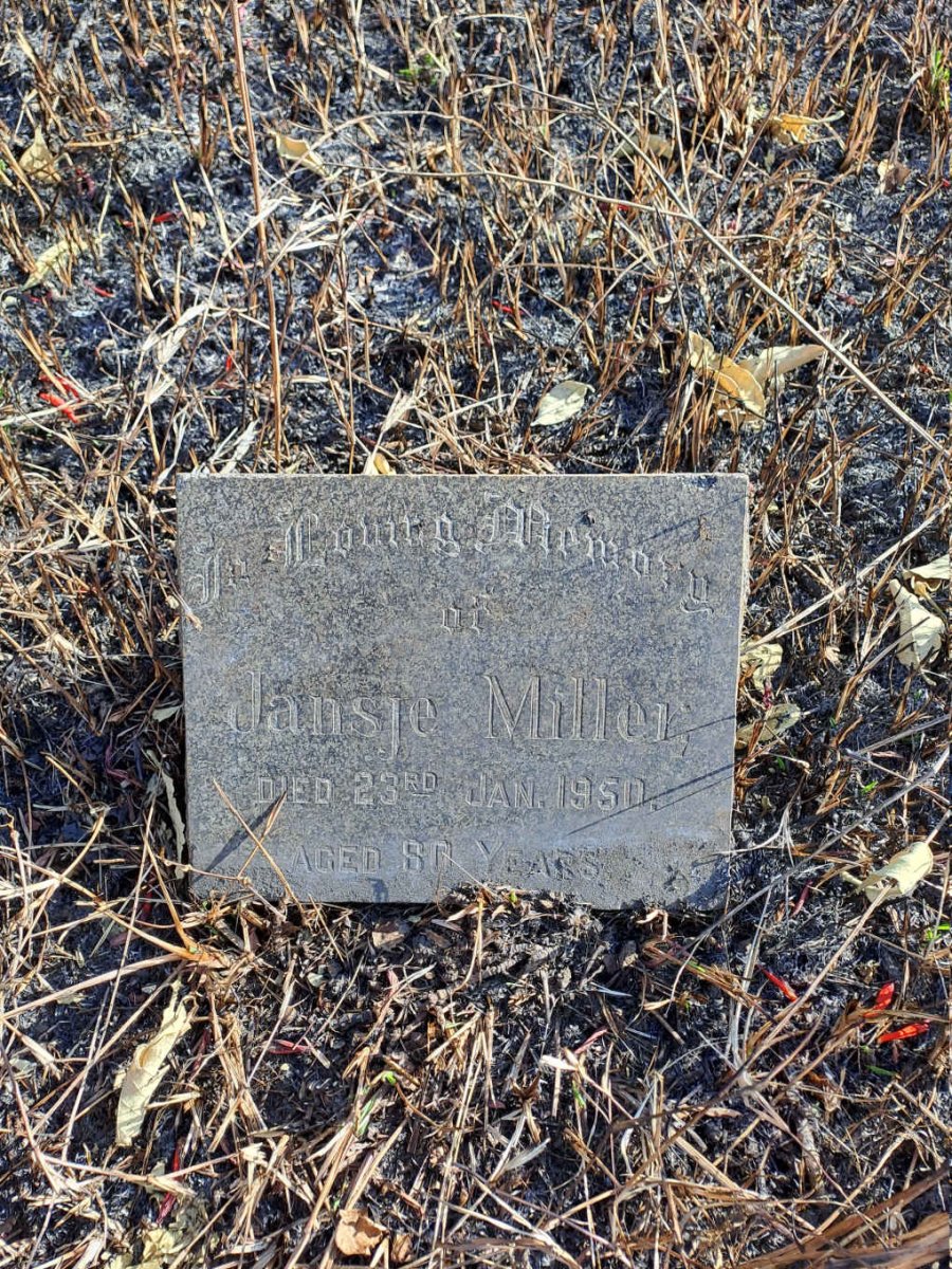 MILLER Jansje -1950