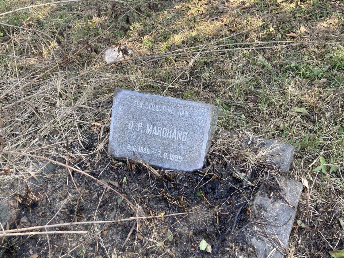 MARCHAND D.P. 1896-1959
