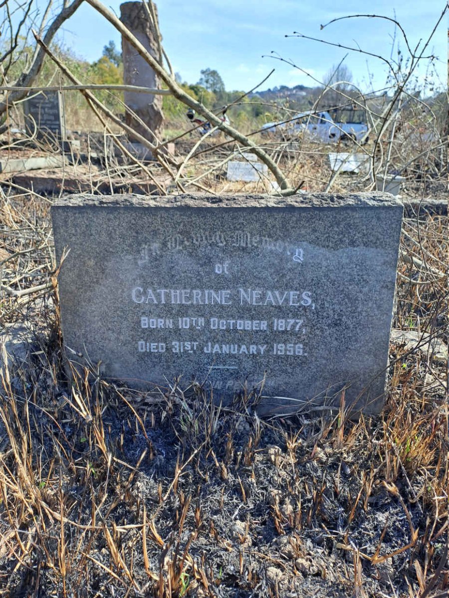 NEAVES Catherine 1877-1956