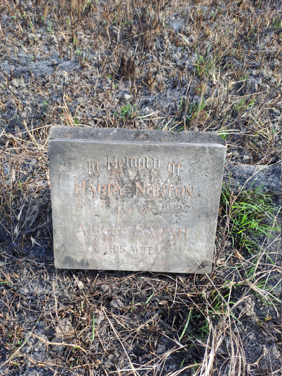 NORTON Harry & Alice Sarah