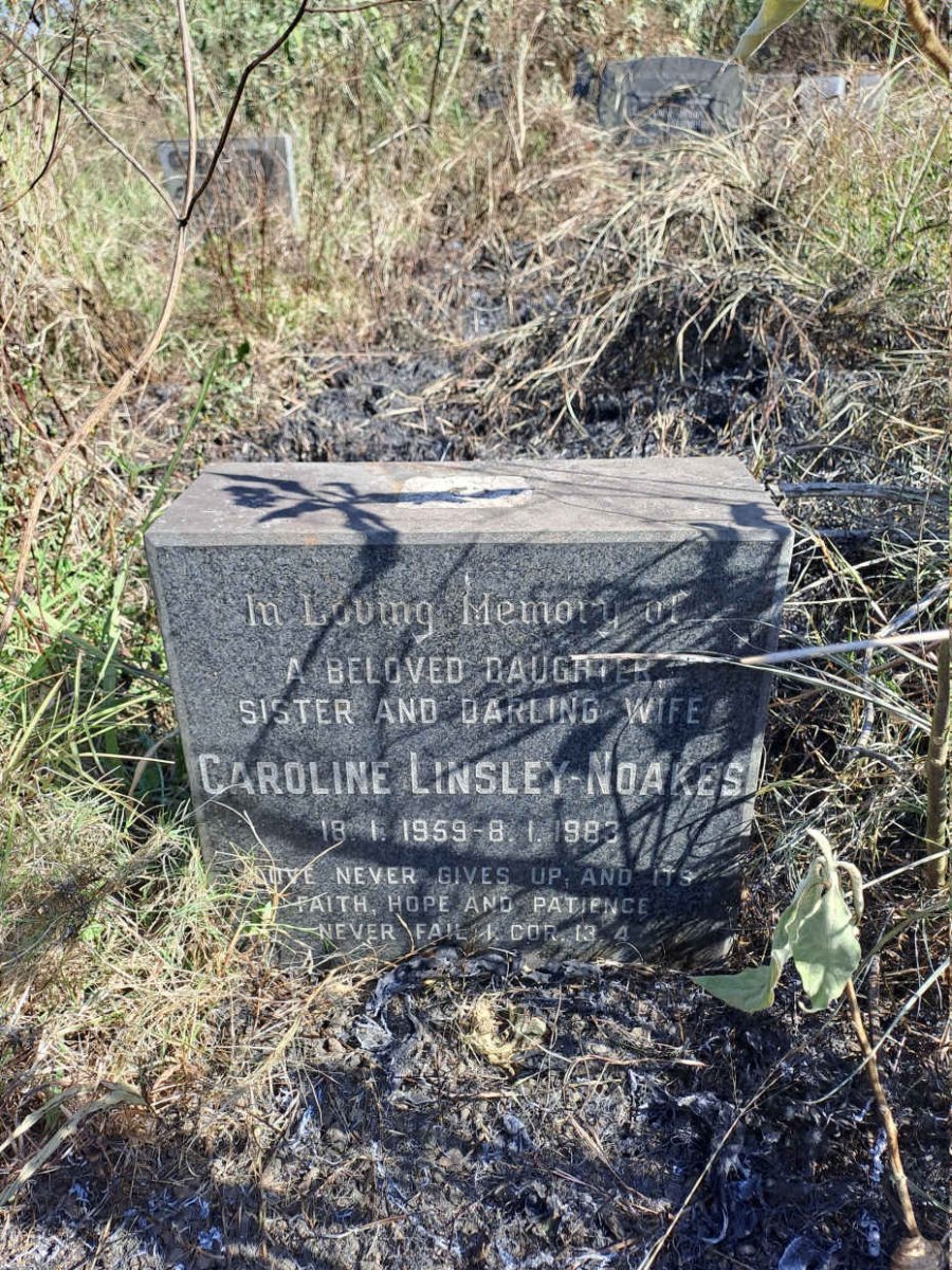 NOAKES Caroline, LINSLEY 1959-1983