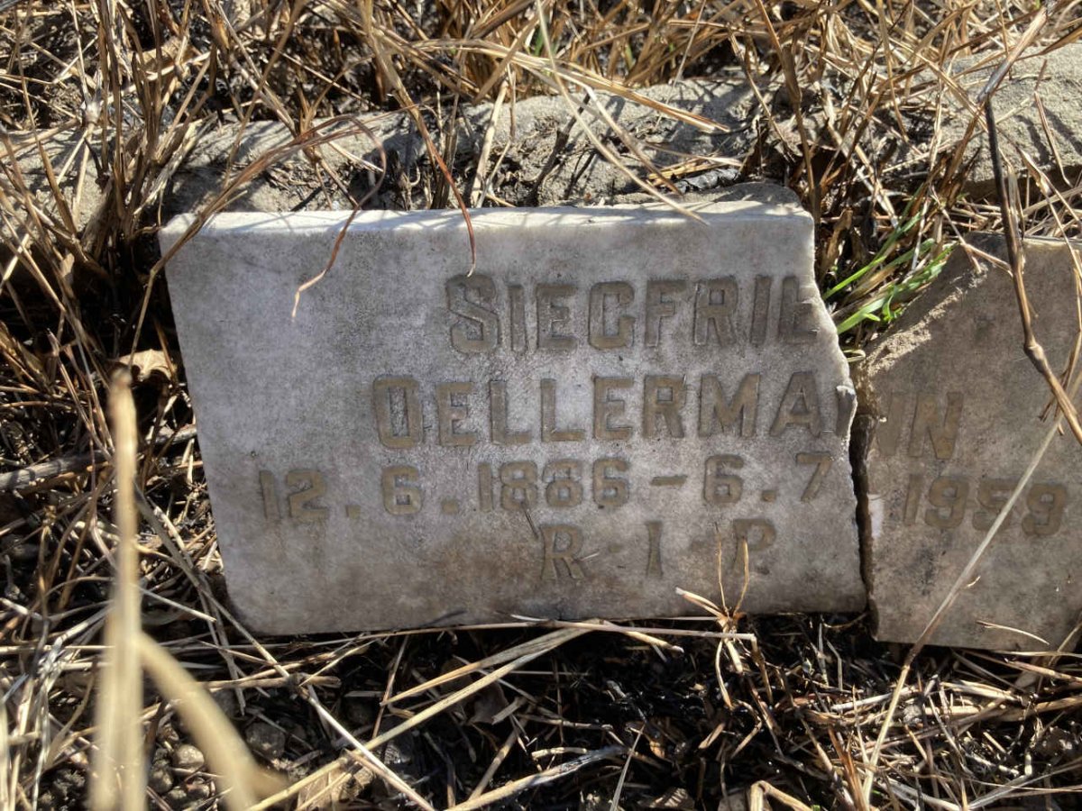 OELLERMANN Siegfried 1886-1959