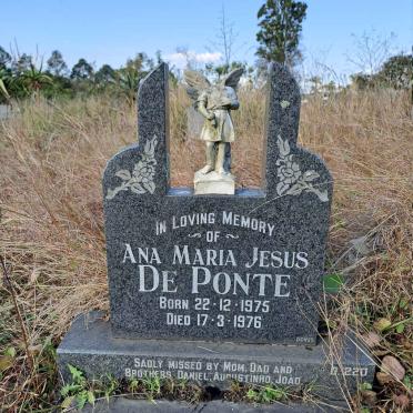 PONTE Ana Maria Jesus, de 1975-1976