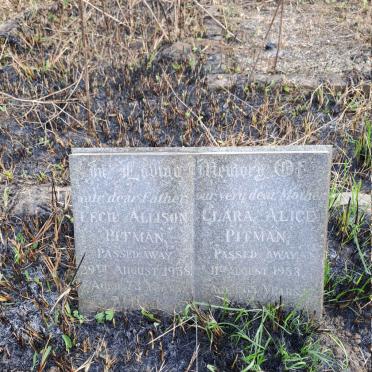 PITMAN Cecil Allison -1958 & Clara Alice -1953