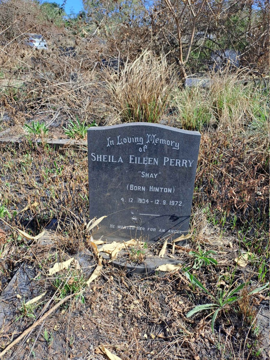 PERRY Sheila Eileen nee HINTON 1934-1972