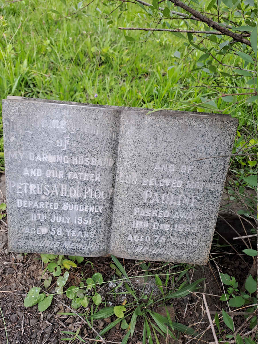 PLOOY Petrus A.H., du -1951 & Pauline -1963
