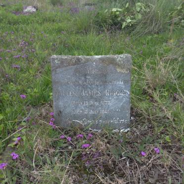 RIGGIEN Walter James 1873-1945