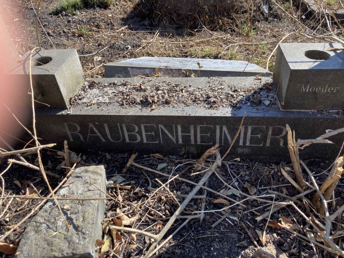 RAUBENHEIMER Joseph Daniel 1887-1982 & Elsie Ballotje GREYLING 1894-19?? _2