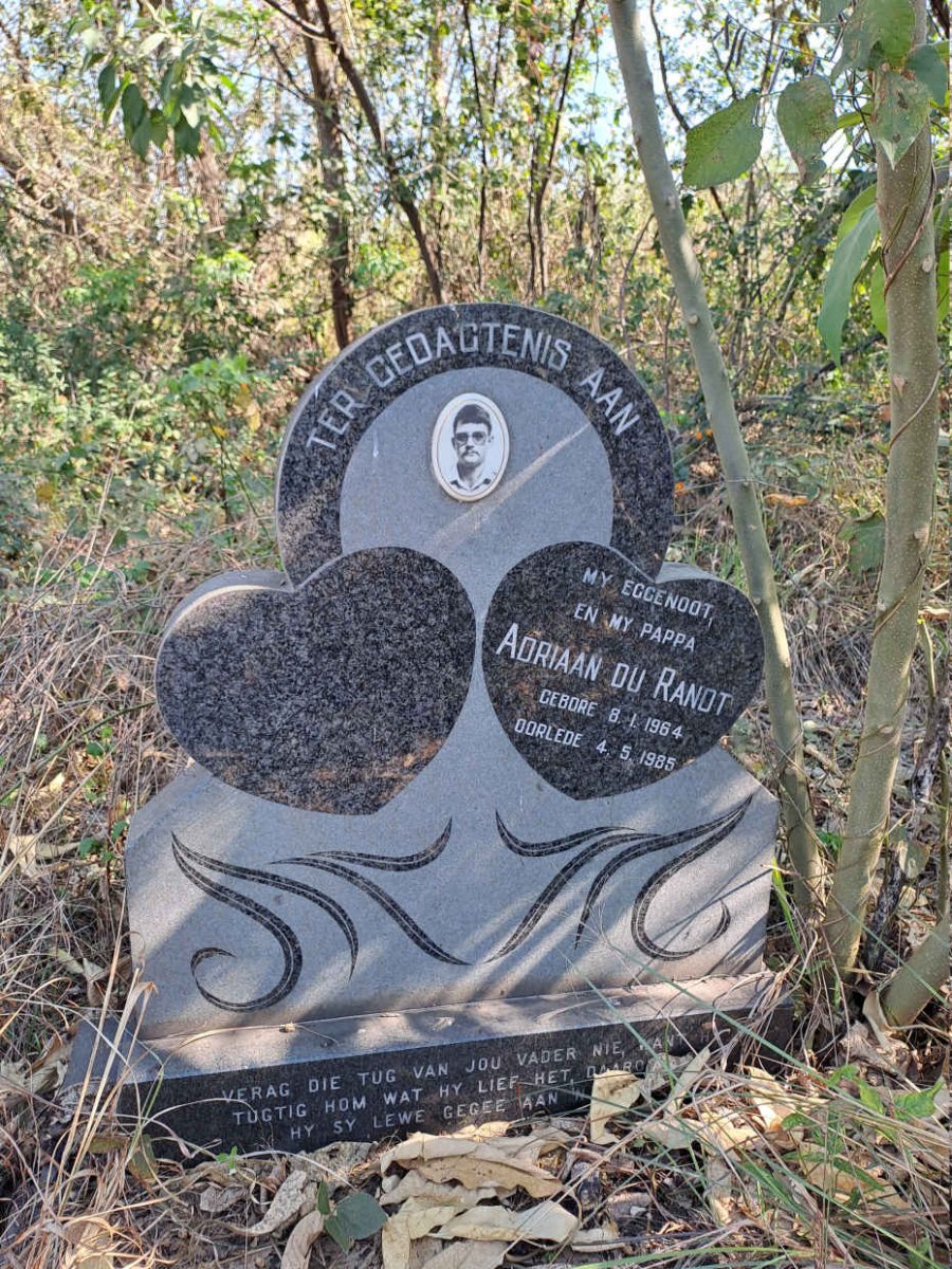 RANDT Adriaan, du 1964-1985