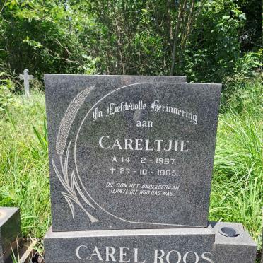 ROOS Carel 1967-1985