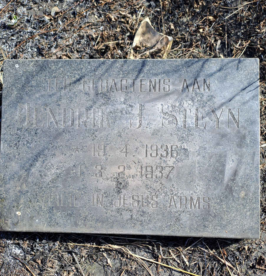 STEYN Hendrik J. 1936-1937