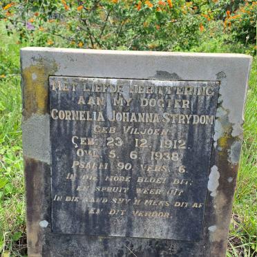 STRYDOM Cornelia Johanna nee STRYDOM 1912-1938