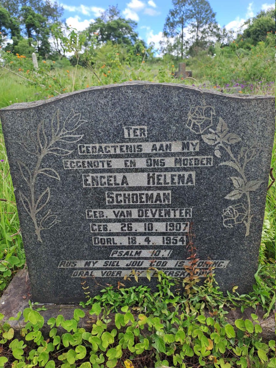 SCHOEMAN Engela Helena nee VAN DEVENTER 1907-1954