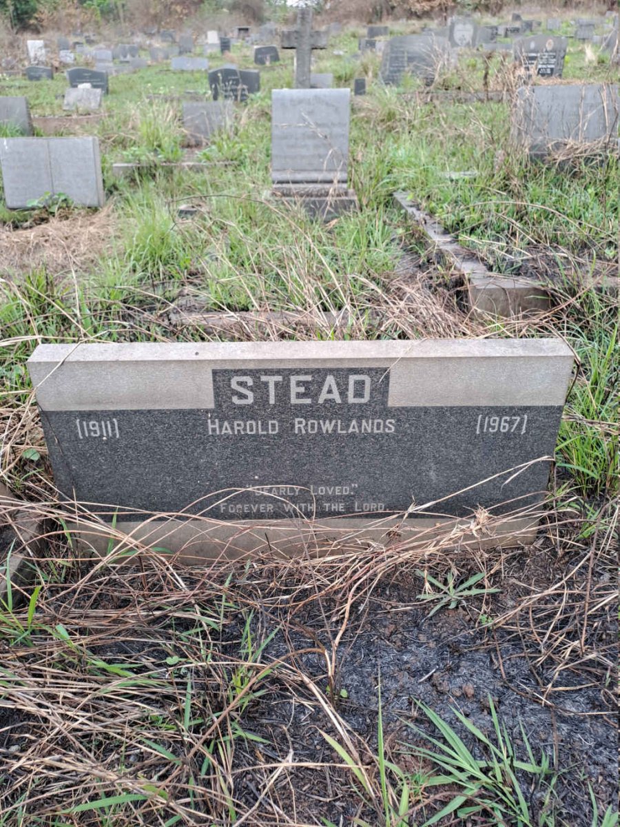 STEAD Harold Rowlands 1911-1967