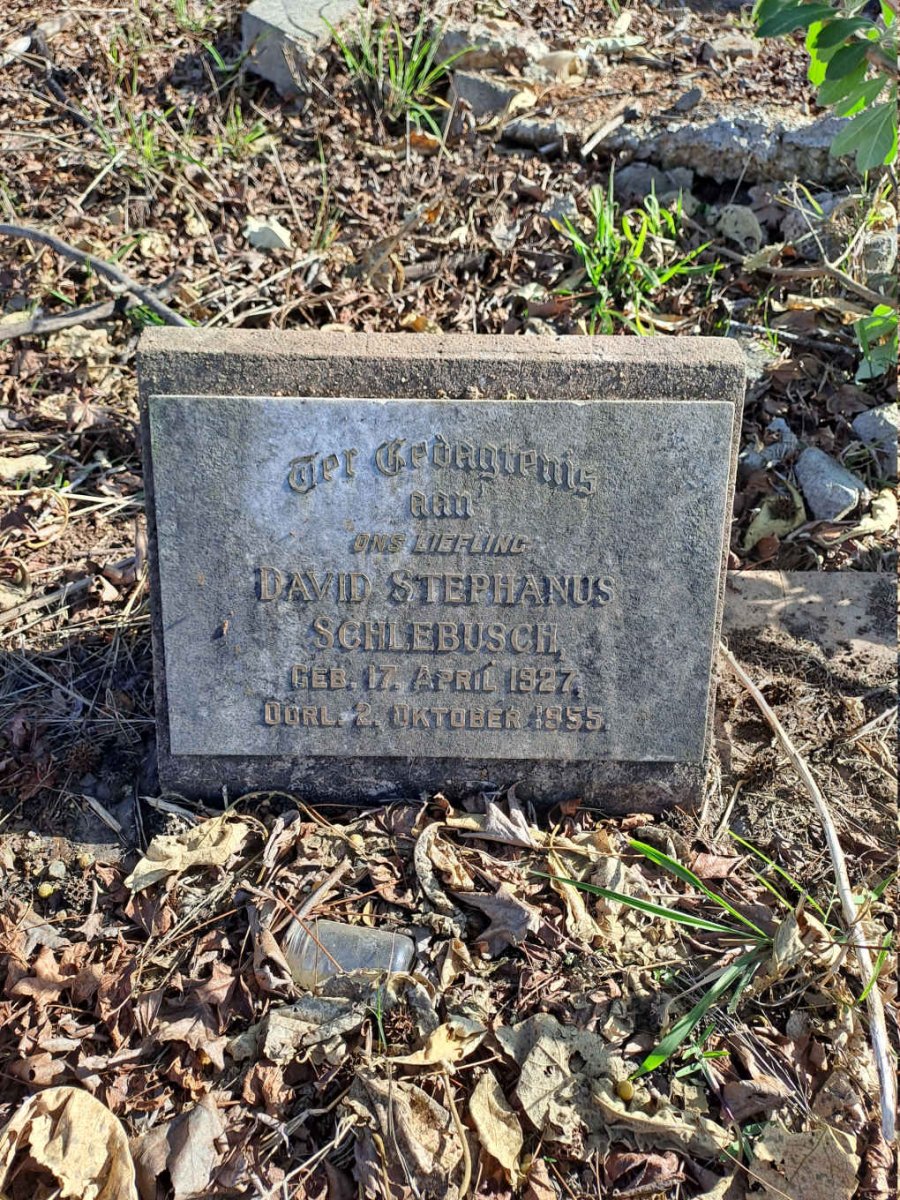 SCHLEBUSCH David Stephanus 1927-1955