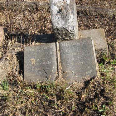 SCOTT Andrew William Charles &amp; Ethel May 1868-