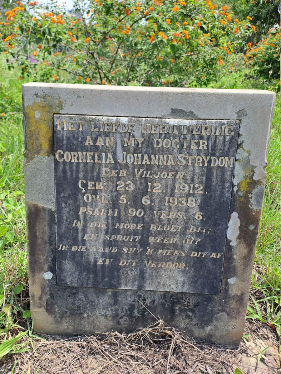 STRYDOM Cornelia Johanna nee STRYDOM 1912-1938