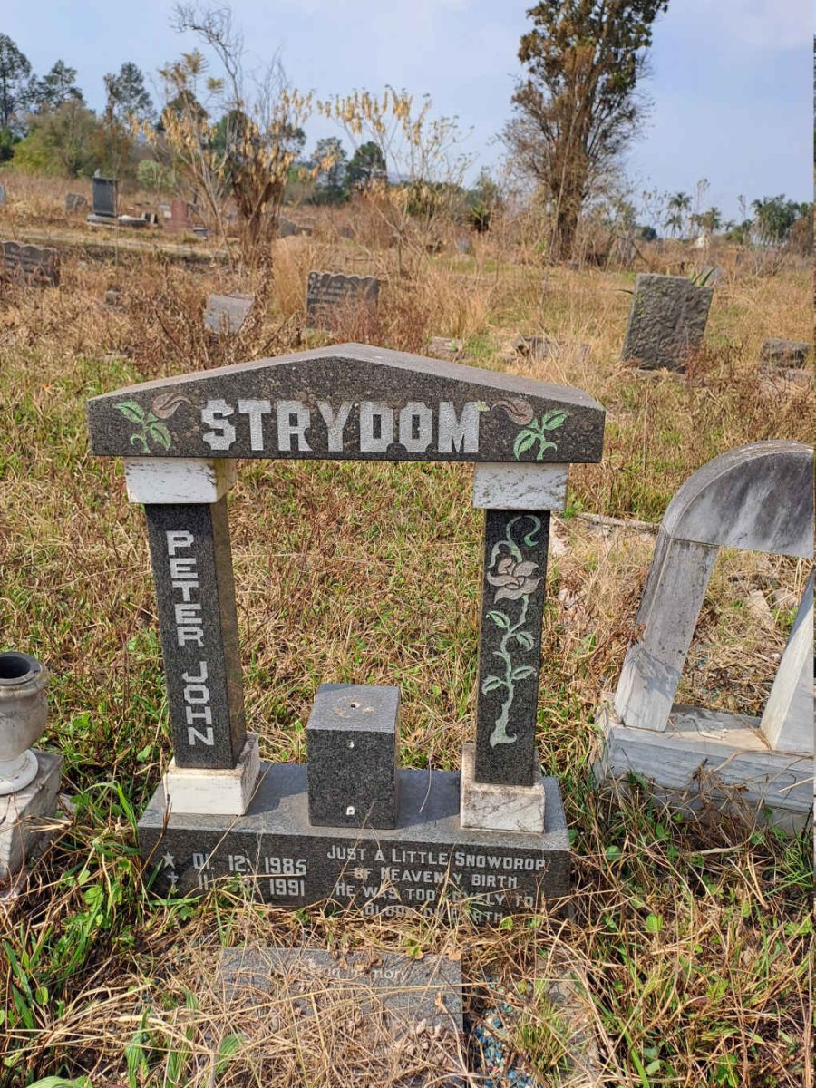 STRYDOM Peter John 1985-1991