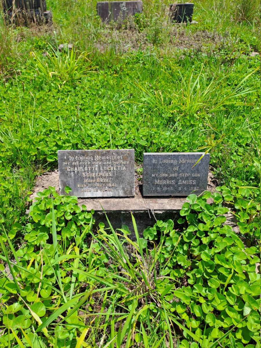 SCHEEPERS Charlotte Lucretia nee BIGGE -1941 :: AMISS Morris 1945-1982