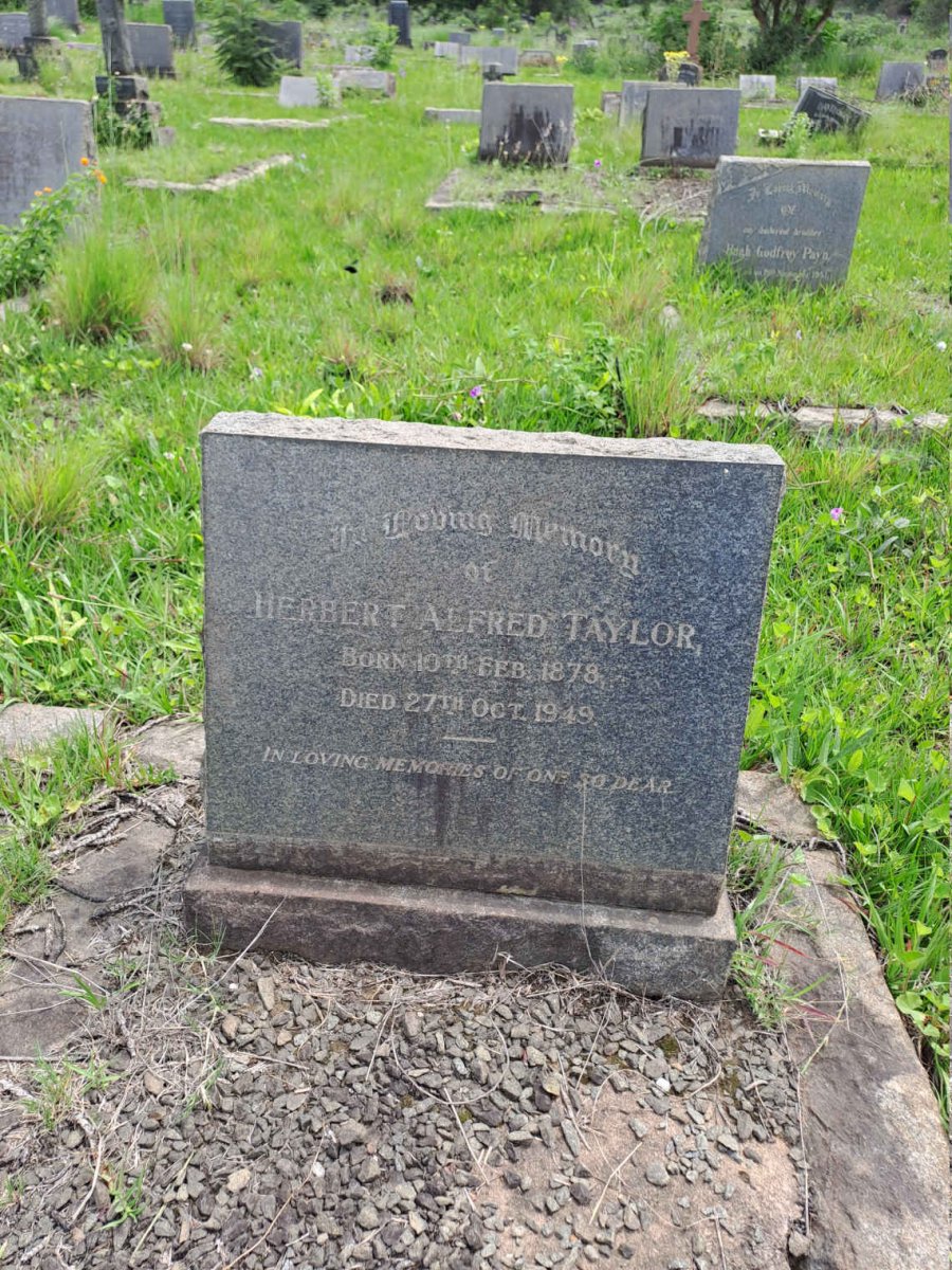 TAYLOR Herbert Alfred 1878-1949