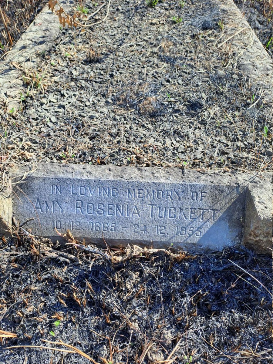 TUCKETT Amy Rosenia 1865-1955