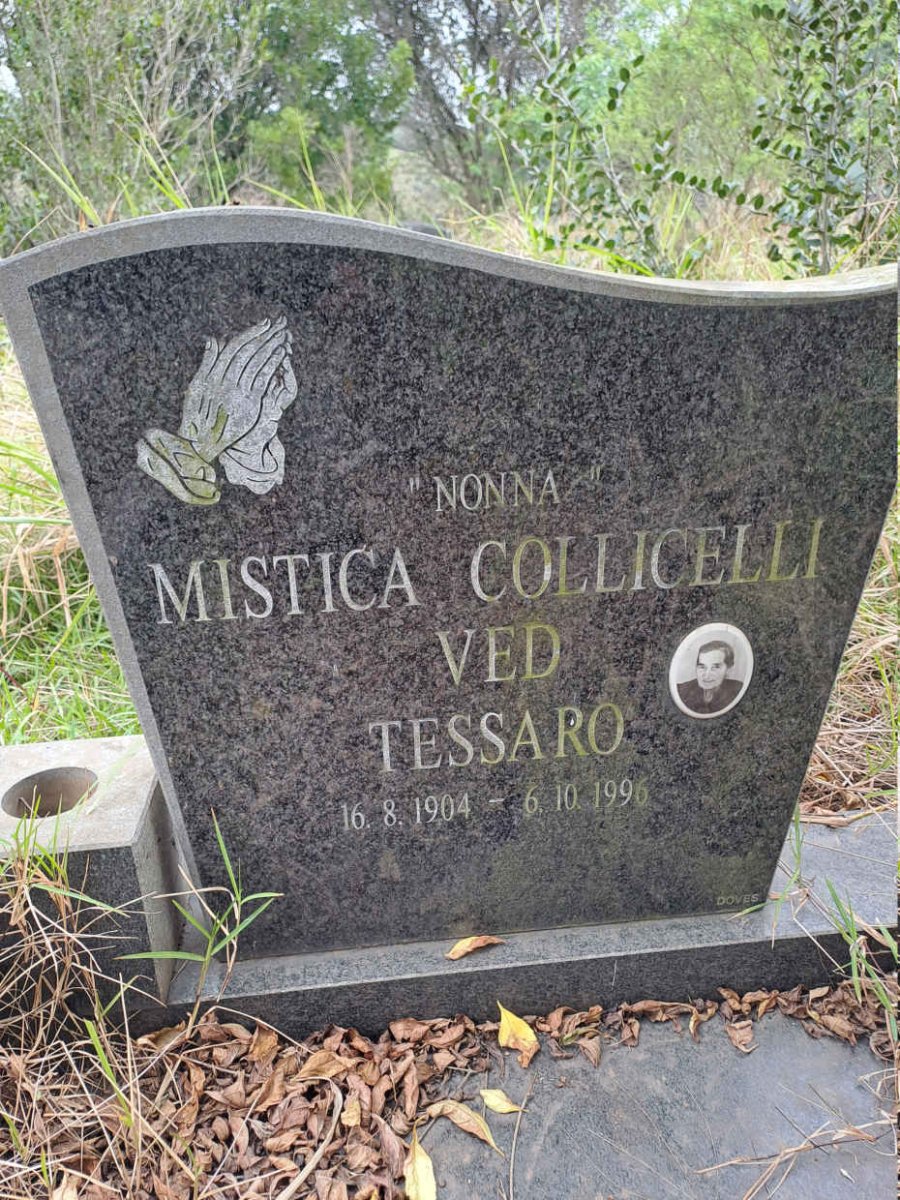 TESSARO Mistica Collicelli Ved 1904-1996