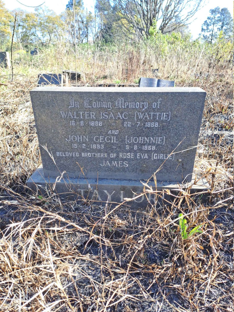 TAYLOR Walter Isaac 1888-1968 :: TAYLOR John Cecil 1893-1968