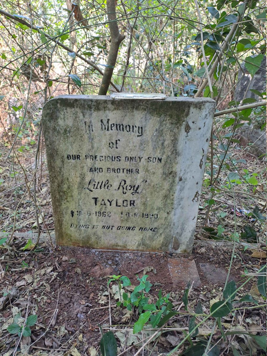 TAYLOR Roy 1962-1990