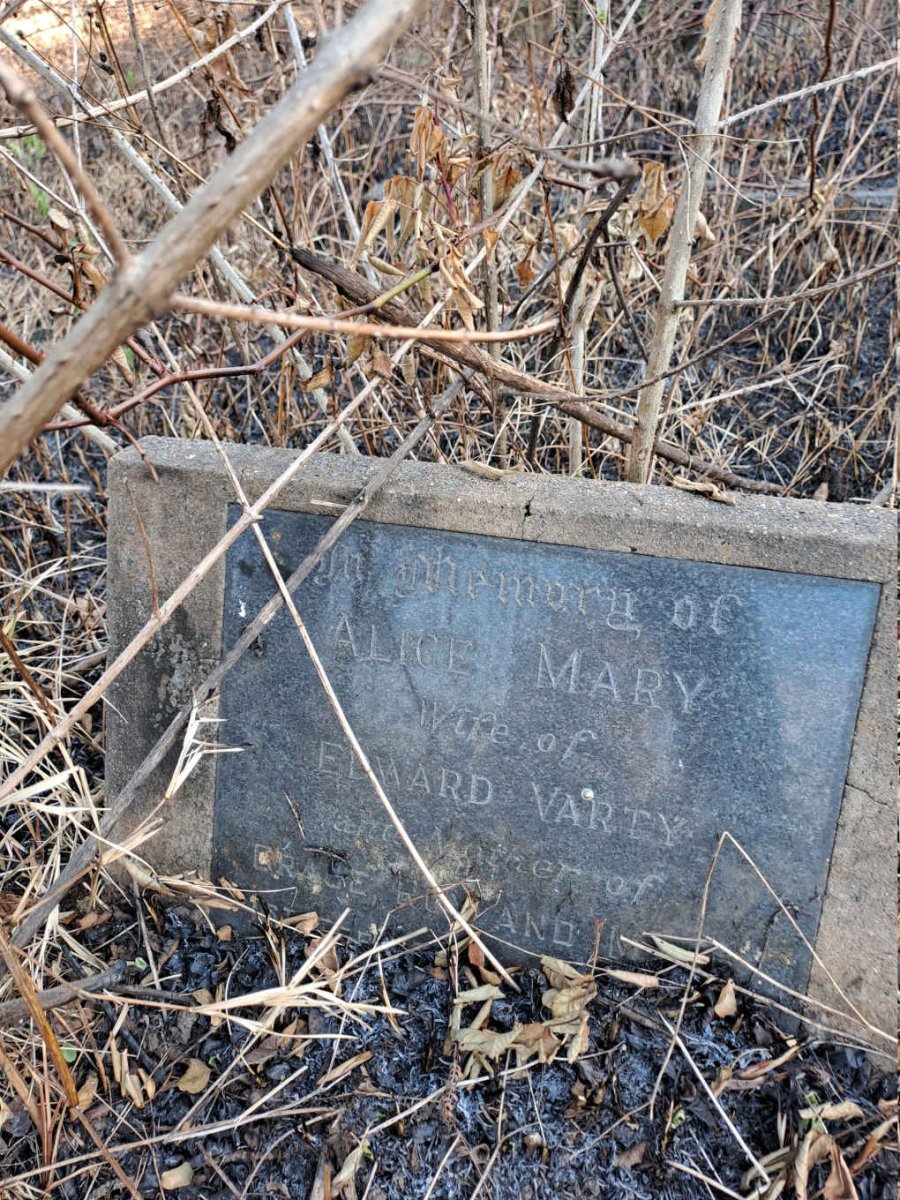 VARTY Alice Mary 